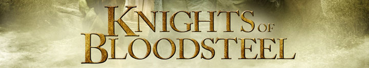Banner voor Knights of Bloodsteel