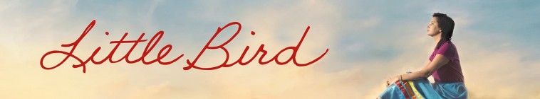 Banner voor Little Bird