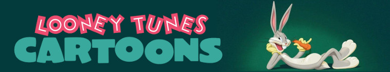 Banner voor Looney Tunes Cartoons