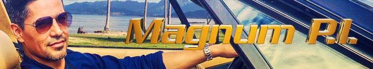 Banner voor Magnum P.I.