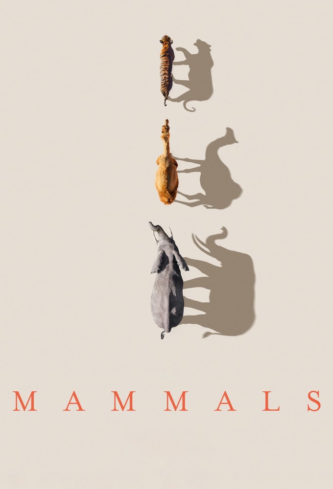 Poster voor Mammals