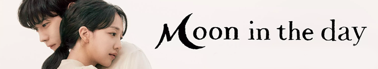 Banner voor Moon in the Day