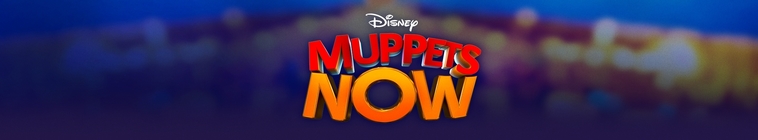 Banner voor Muppets Now