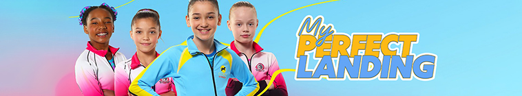 Banner voor My Perfect Landing