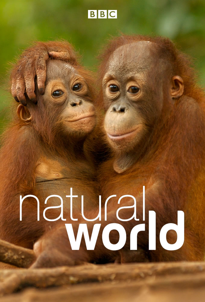 Poster voor Natural World