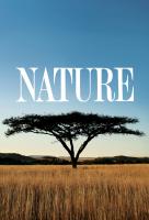 Poster voor Nature