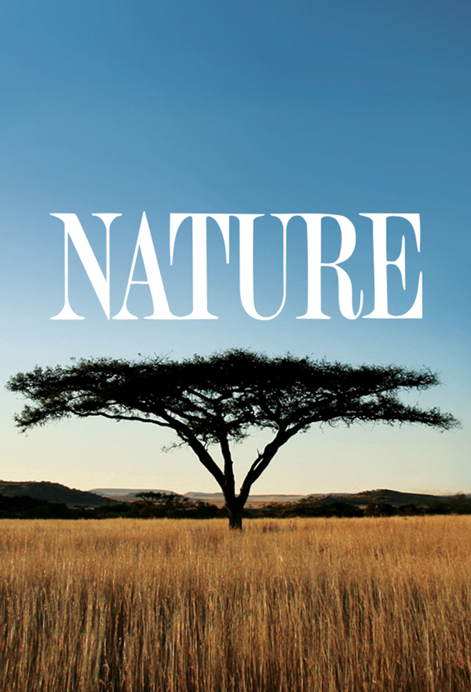 Poster voor Nature