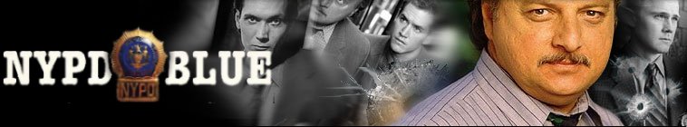 Banner voor NYPD Blue