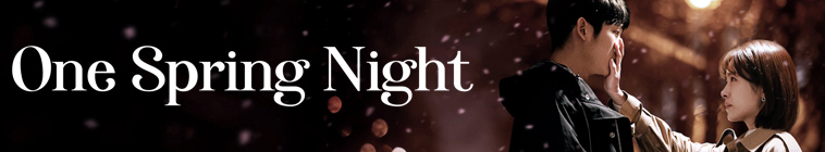 Banner voor One Spring Night