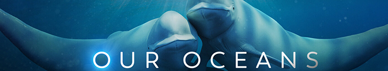 Banner voor Our Oceans