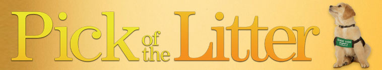 Banner voor Pick of the Litter