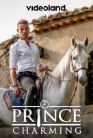 Poster voor Prince Charming (NL)