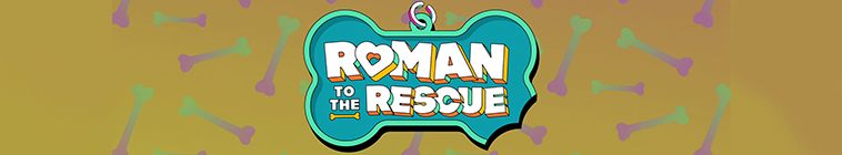Banner voor Roman to the Rescue