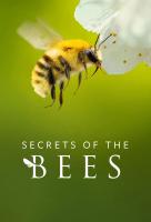 Poster voor Secrets of the Bees