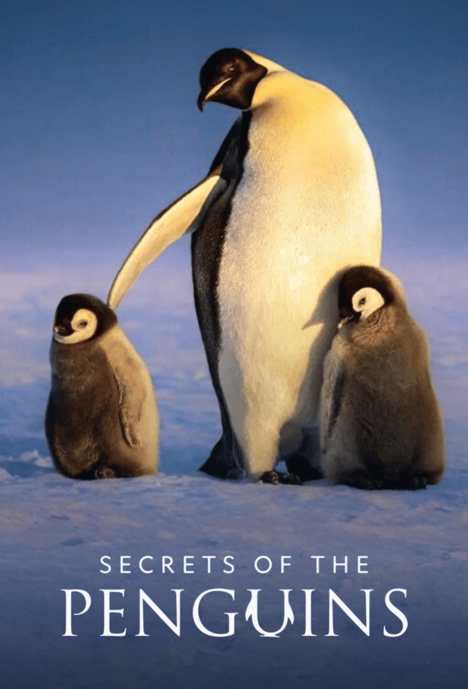 Poster voor Secrets of the Penguins