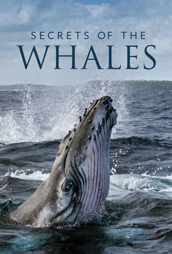 Poster voor Secrets of the Whales