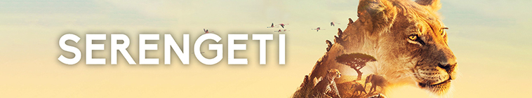 Banner voor Serengeti