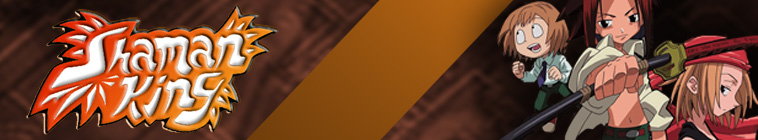 Banner voor Shaman King