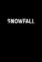 Poster voor Snowfall
