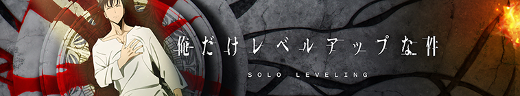 Banner voor Solo Leveling