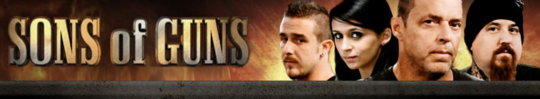 Banner voor Sons of Guns