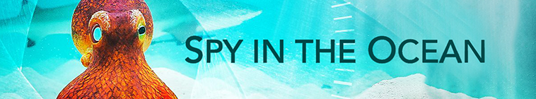 Banner voor Spy in the Ocean