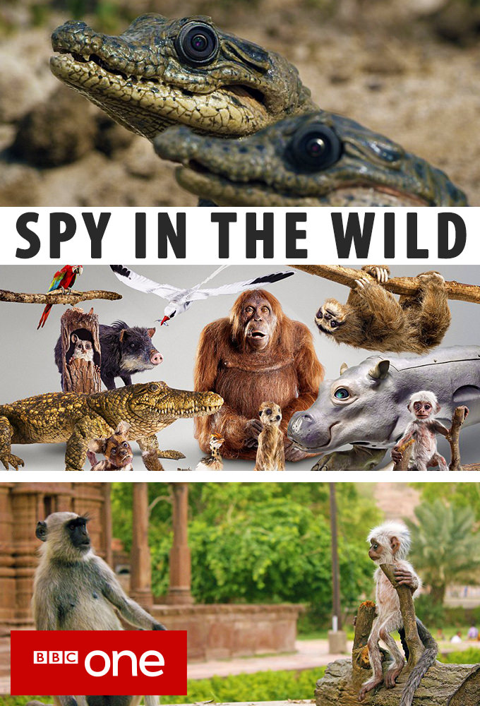 Poster voor Spy in the Wild