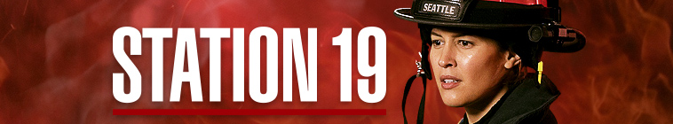 Banner voor Station 19