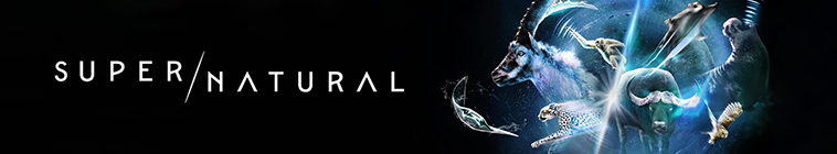 Banner voor Super/Natural