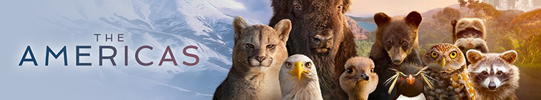 Banner voor The Americas