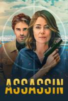 Poster voor The Assassin