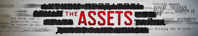 Banner voor The Assets
