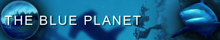 Banner voor The Blue Planet