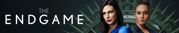 Banner voor The Endgame