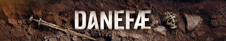 Banner voor The Excavation