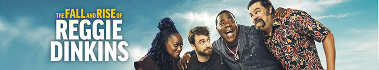Banner voor The Fall and Rise of Reggie Dinkins