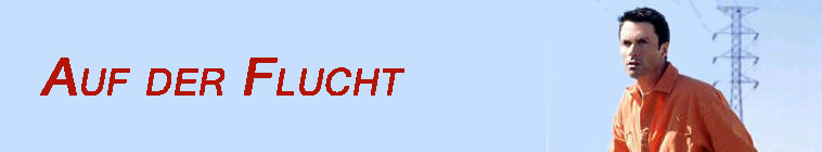 Banner voor The Fugitive