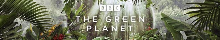 Banner voor The Green Planet