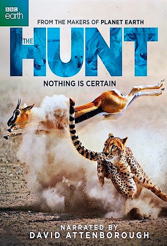 Poster voor The Hunt