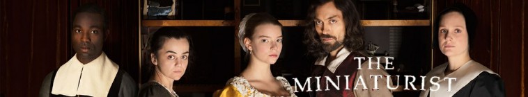 Banner voor The Miniaturist