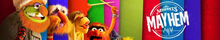 Banner voor The Muppets Mayhem