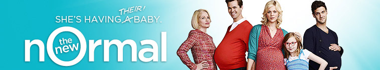 Banner voor The New Normal