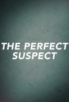 Poster voor The Perfect Suspect