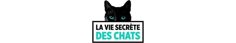 Banner voor The Secret Life of Cats