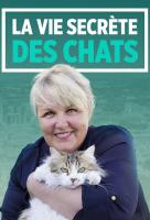 Poster voor The Secret Life of Cats