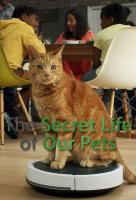 Poster voor The Secret Life of Our Pets
