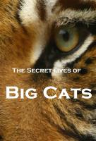 Poster voor The Secret Lives Of Big Cats