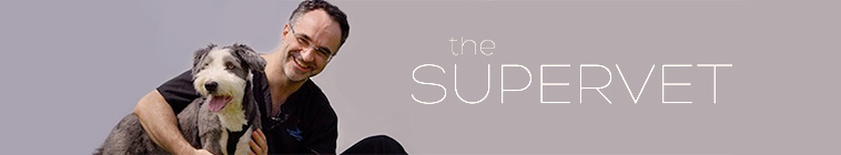 Banner voor The Supervet