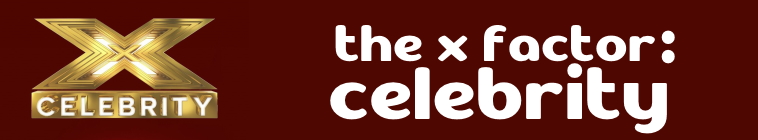 Banner voor The X Factor: Celebrity