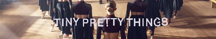 Banner voor Tiny Pretty Things